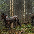 Georg Gantner_ein PS.jpg