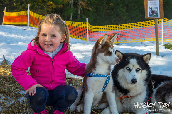 HuskyDay2014_DSC8218.jpg
