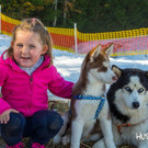 HuskyDay2014_DSC8218.jpg