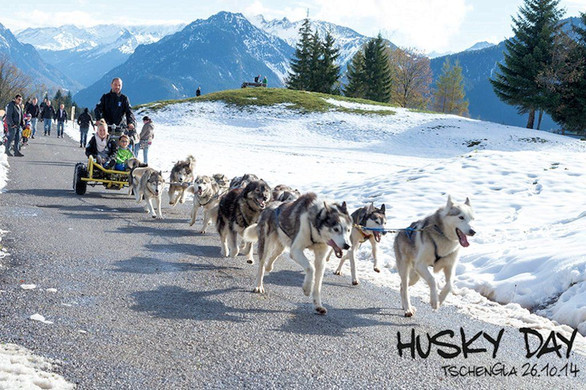 HuskyDay2014_DSC7958.jpg