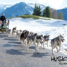 HuskyDay2014_DSC7958.jpg