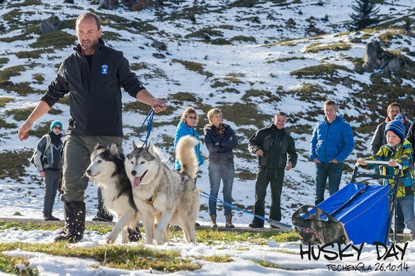 HuskyDay2014_DSC8691.jpg