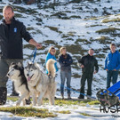 HuskyDay2014_DSC8691.jpg