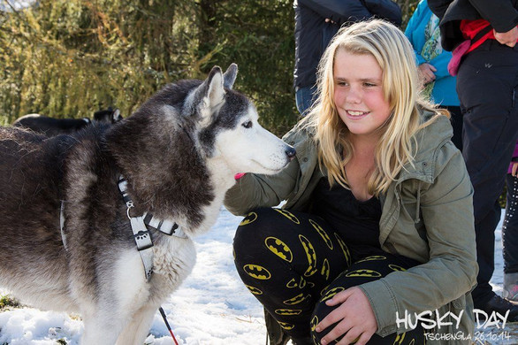 HuskyDay2014_DSC8245.jpg