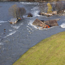 IBD1130-20141030.jpg