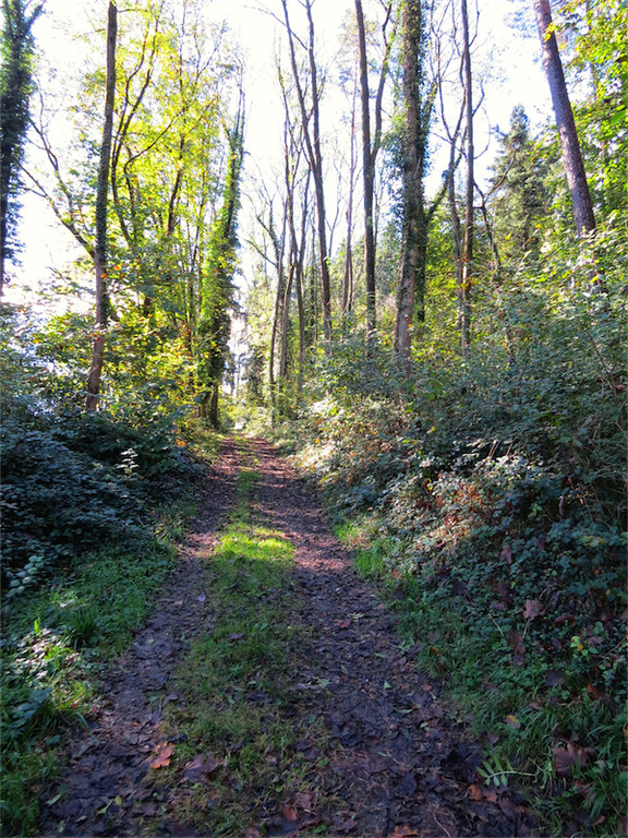 BK_Vater-Unser-Weg St_ Corneli 6.jpg