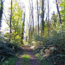 BK_Vater-Unser-Weg St_ Corneli 6.jpg
