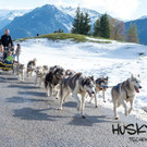 Husky Day 2014 auf der Tschengla