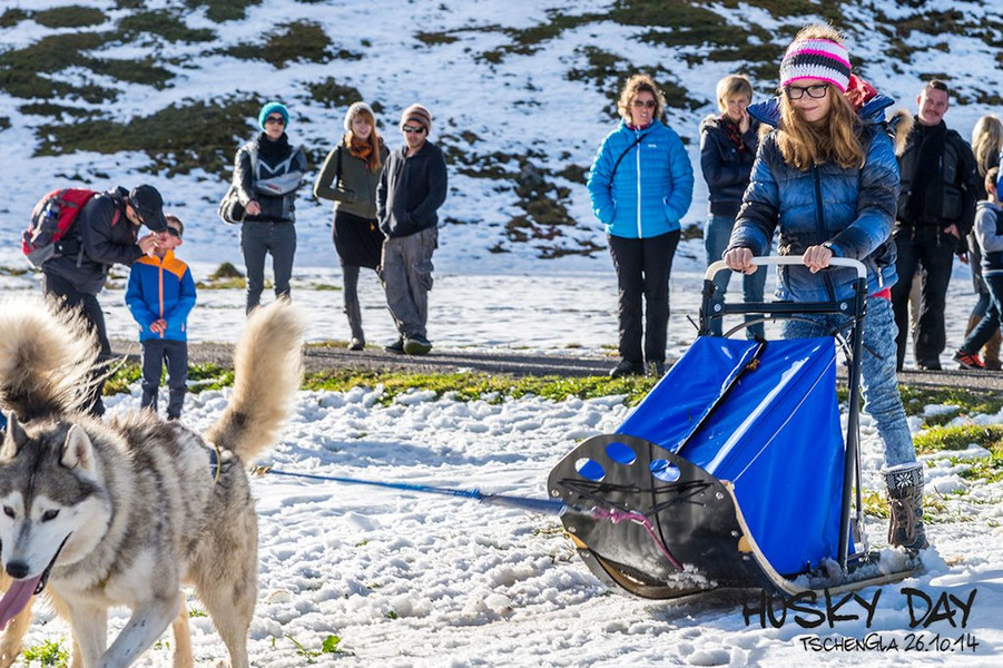 HuskyDay2014_DSC8716.jpg