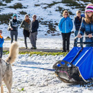 HuskyDay2014_DSC8716.jpg