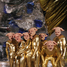 Schweine4 _1_.jpg
