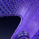 The Yas Hotel upward gridshell dusk.jpg