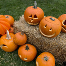 c3b5ded0a54d46f99279d23ad9932fb0-c3b5ded0a54d46f99279d23ad9932fb0-0.jpg
