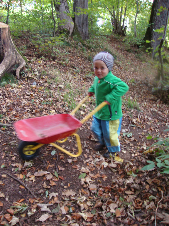 Waldspielgruppe am 8_10 _15_.JPG