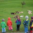 Waldspielgruppe am 8_10 _41_.JPG