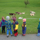 Waldspielgruppe am 8_10 _40_.JPG