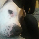 20141014_215131.jpg