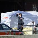 IBD0382-20141103.jpg