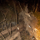 t__dl_AU HolzerSonntag12.jpg