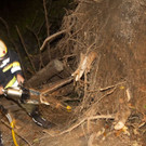 t__dl_AU HolzerSonntag35.jpg