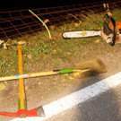 t__dl_AU HolzerSonntag08.jpg