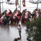ZP 2014 047.JPG
