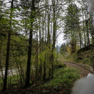 14-10-25_BWB_Gedenkzug _100_.jpg
