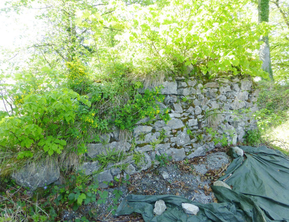 Ruine3aInnenmauer.jpg