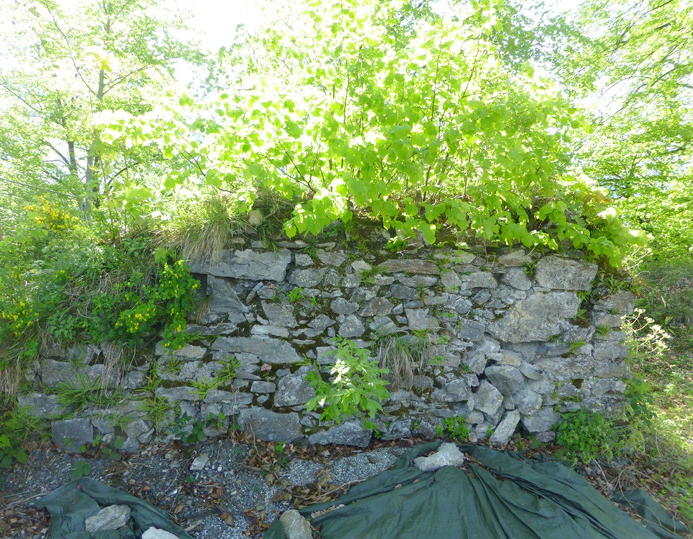 Ruine3Innenmauer.jpg