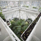 ABD0021-20141107.jpg