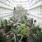 ABD0026-20141107.jpg