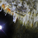 ABD0018-20141107.jpg