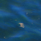 dc1-5ub89mc71wxe2l6p12s_original.jpg