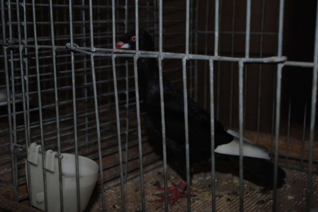 DSC_0614.JPG