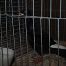 DSC_0614.JPG