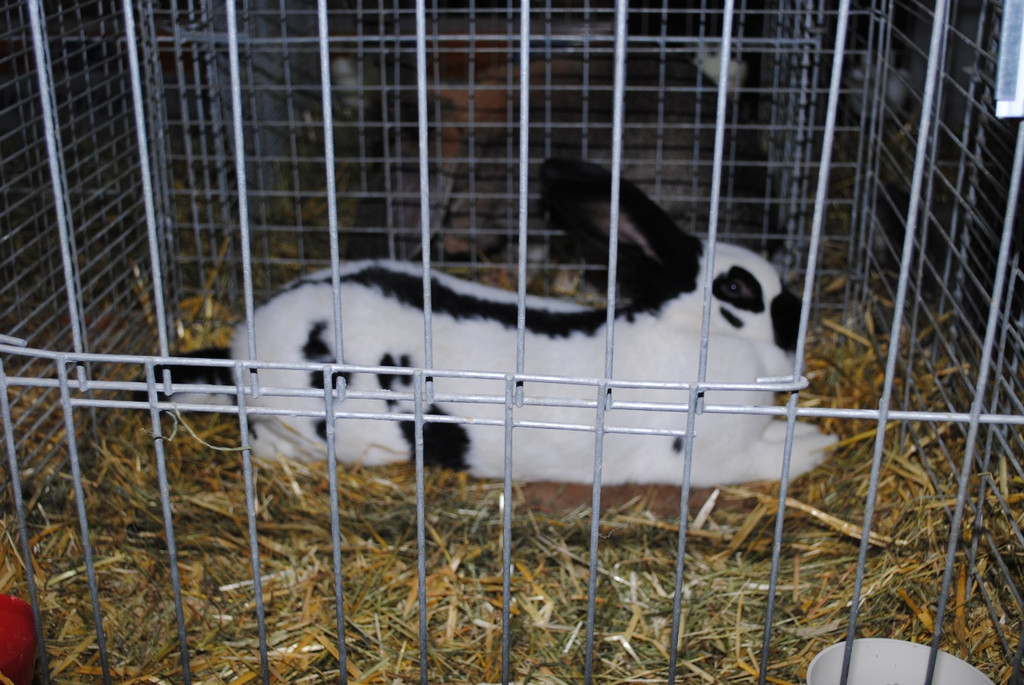 DSC_0617.JPG