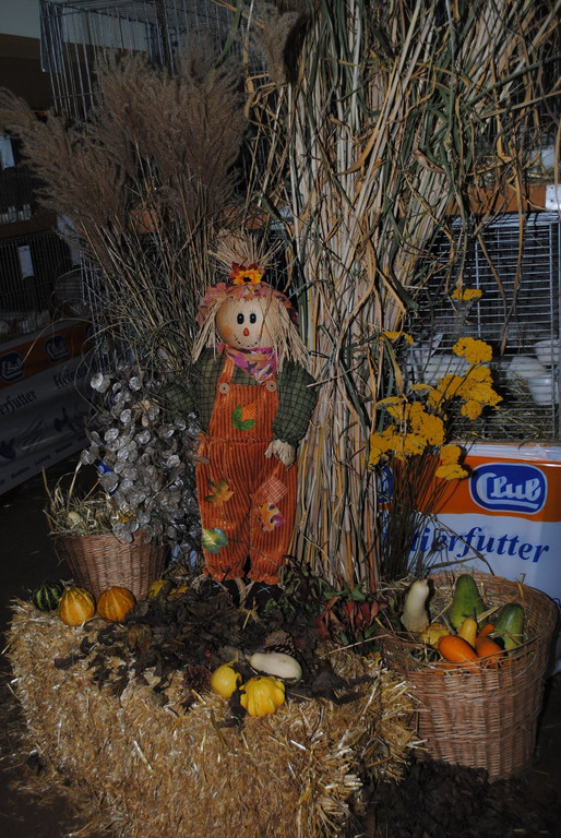 DSC_0618.JPG