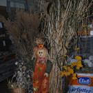 DSC_0618.JPG