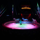 IMG_3654.JPG