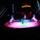 IMG_3660.JPG
