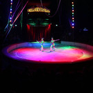 IMG_3734.JPG