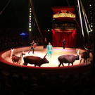 IMG_3834.JPG