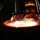 IMG_3857.JPG