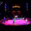 IMG_3987.JPG