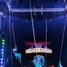 IMG_4286.JPG