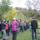 DSCN4520.JPG