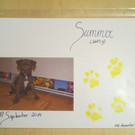 Summer