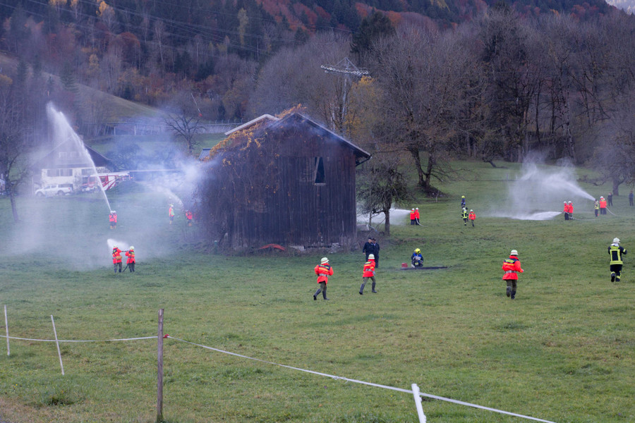 IMG_8779.jpg