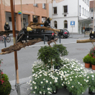 DSCN0893.JPG