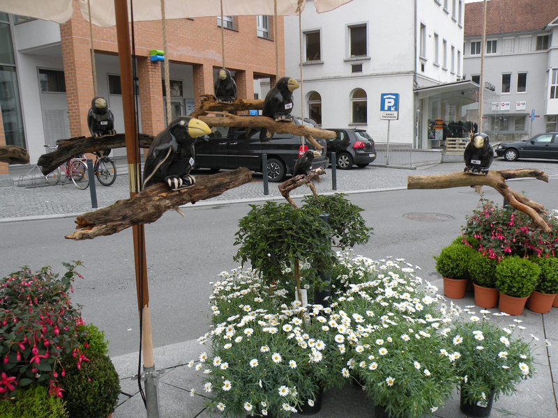 DSCN0893.JPG